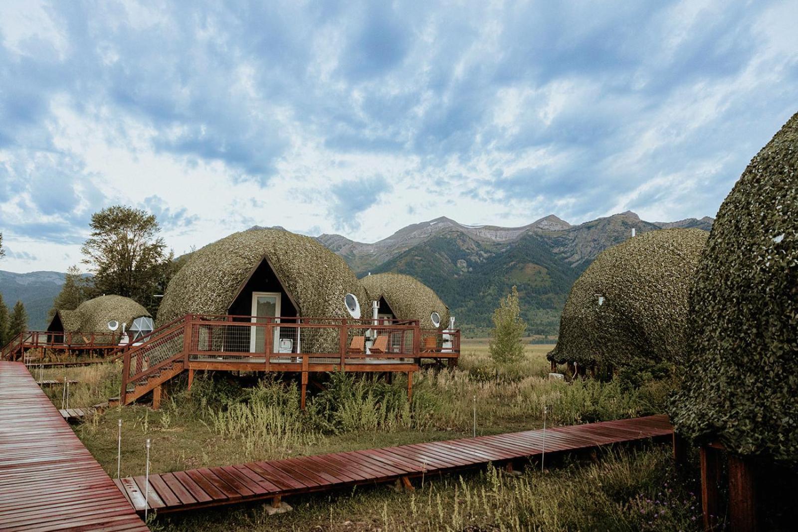 Tammah Jackson Hole Otel Wilson Dış mekan fotoğraf